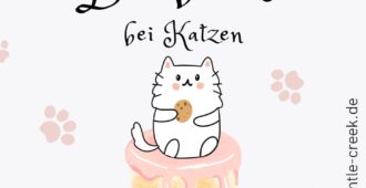 „Süße“ Katzen – Katzen mit Diabetes
