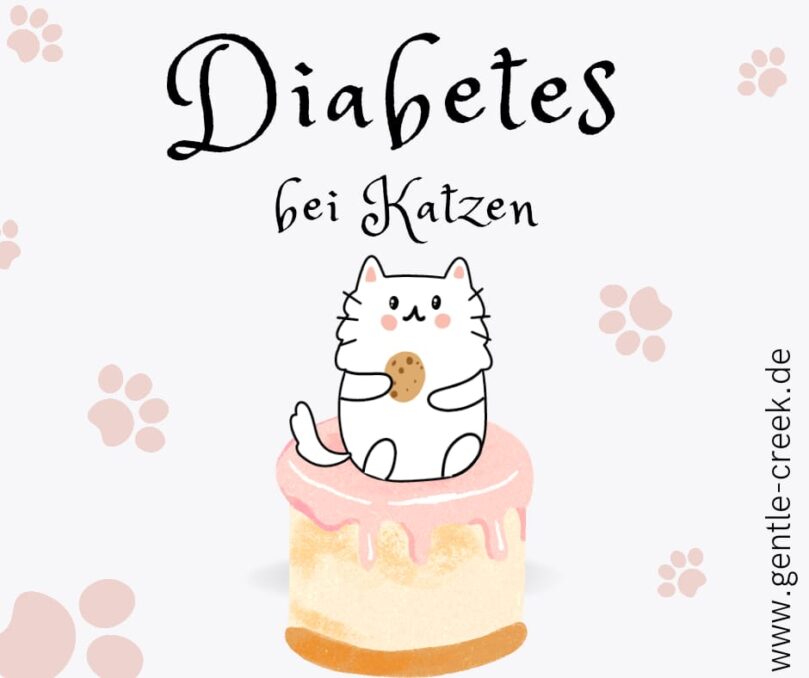 „Süße“ Katzen – Katzen mit Diabetes